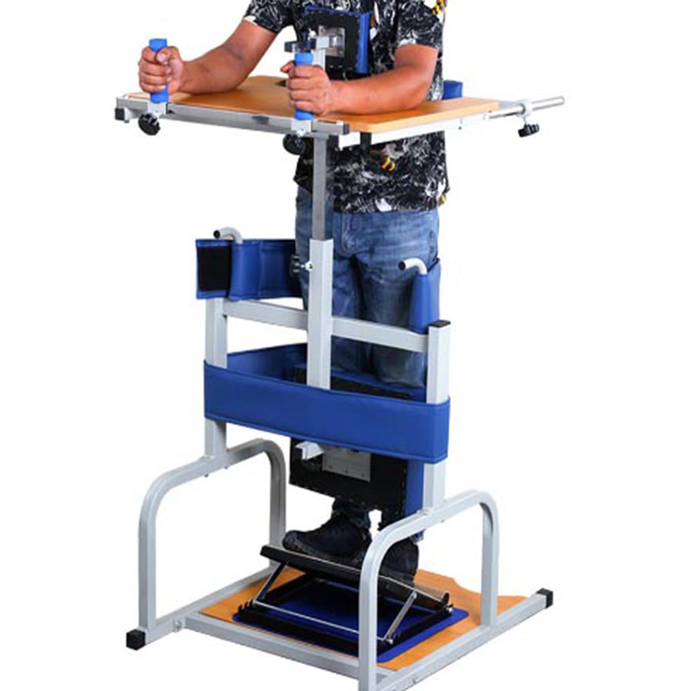 Classification and characteristics of standing walkers