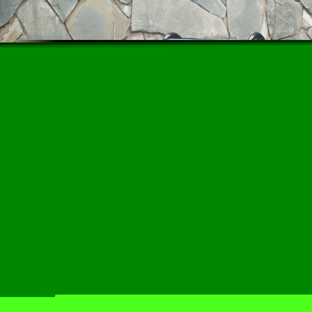 carbon fiber wheelchair TEW205