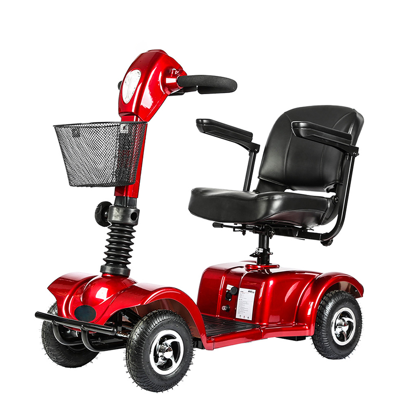 Electric scooters and pets: Are your four-legged passengers ready?